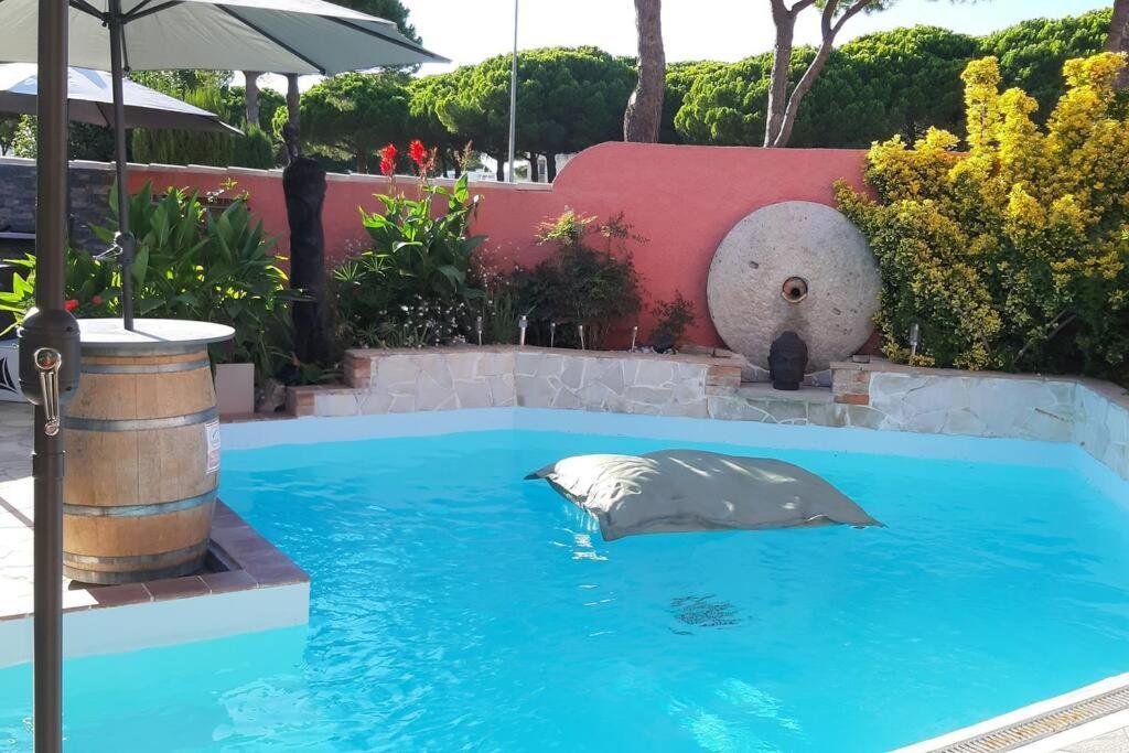 Hebergement Chambre D'Hotes Grau Du Roi Mas Des Marines Piscine Adult Only Le Grau-du-Roi Exteriör bild